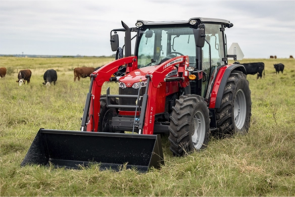 Massey Ferguson 4700 tractor with front loader working in a pasture with grazing cattle in the background.